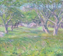 ATTR. CHARLES SALIS KAELIN