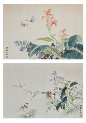 ATTR TO YU JINGZHI, BUTTERFLIE