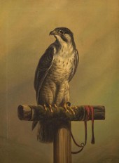 ATTRIBUTED TO DENHAM JORDANATT