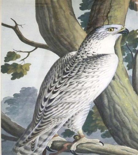 Attributed to George Heinrich