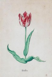 ATTRIBUTED TO JAN-CLAES MARCEL