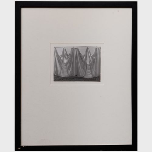 ATTRIBUTED TO RALPH STEINER