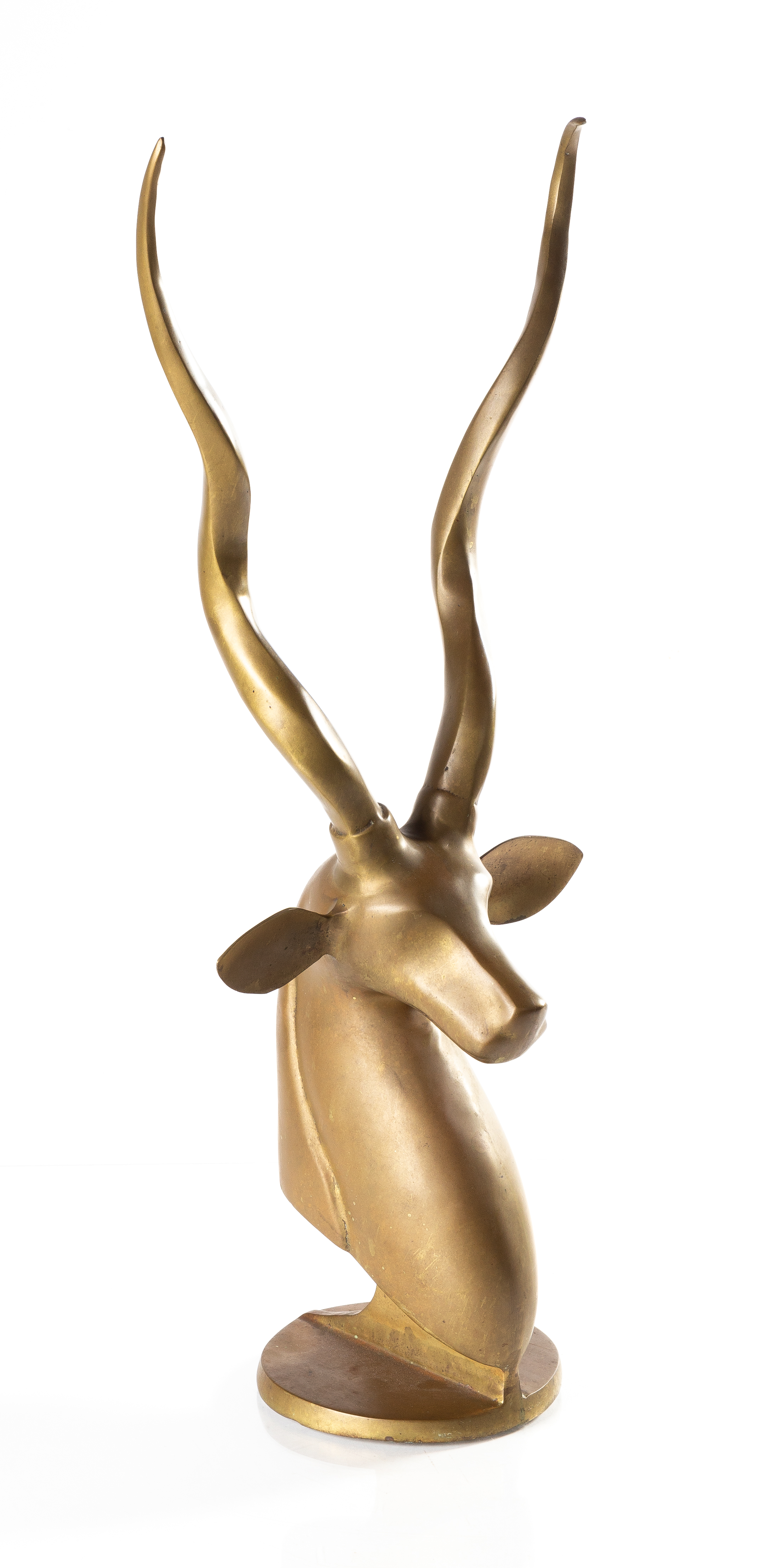ATTRIBUTED TO ROBERTO ESTEVEZ, KUDU