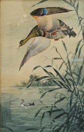 ATTRIBUTED TO TOSHIRO AOKI (JA