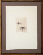 AUBREY SCHWARTZ BOTANICAL LITH