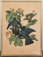 AUDUBON BIEN EDITION PRINT WHI