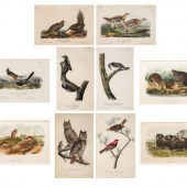 AUDUBON, John James (1785-1852