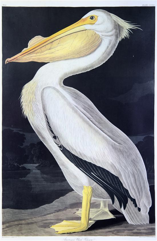 * (AUDUBON JOHN JAMES after)