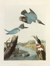 (AUDUBON JOHN JAMES after) BIE