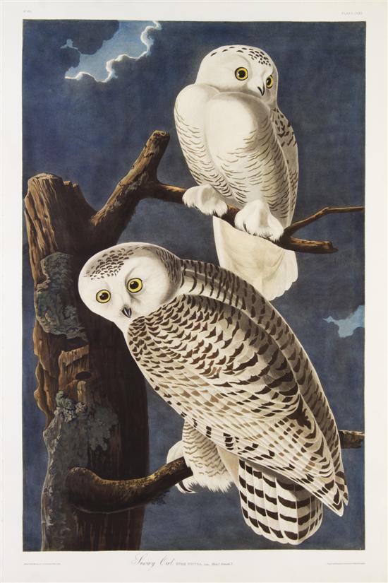 (AUDUBON JOHN JAMES after) HAVELL