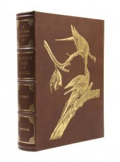 (AUDUBON JOHN JAMES after) PET