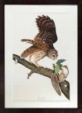 AUDUBON SOCIETY/ABBEVILLE PRES