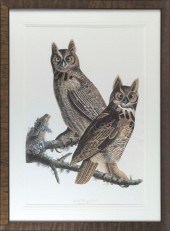 AUDUBON SOCIETY/ABBEVILLE PRES