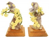 AUDUBON WARBLERS BY DOROTHY DO