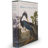 AUDUBON'S BIRDS OF AMERICA BAB