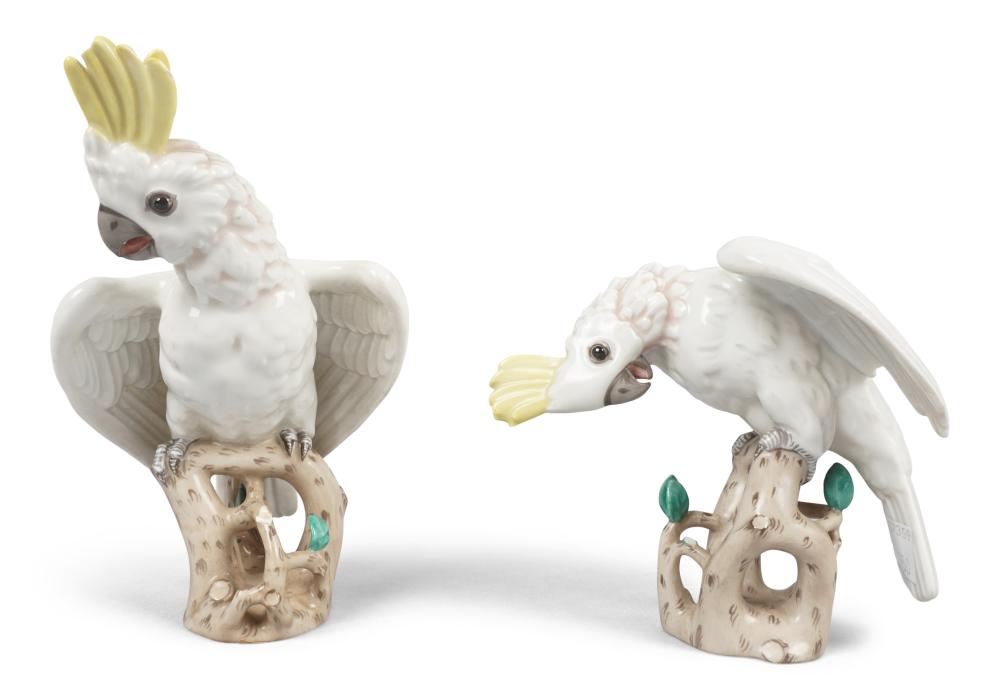 AUGARTEN WIEN PORCELAIN COCKTAOO