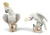 AUGARTEN WIEN PORCELAIN COCKTA