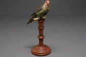 Austrian cold-painted bronze l