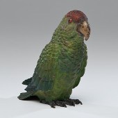 Austrian Cold-Painted Bronze P