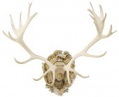AUSTRIAN HAPSBURG RED STAG ANT