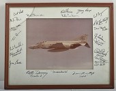 Autographed Photograph of Figh