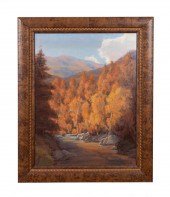 B. DAVIDSON, NANTAHALA GORGE L