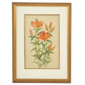 B. DYER. DAY LILIES, WATERCOLO
