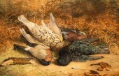 B L Hold/Still Life of Birds A