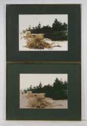 B. RYAN FREEMAN (20TH C. CANAD