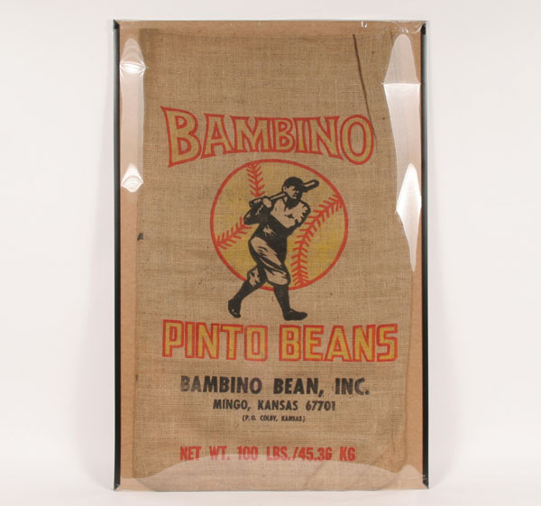 Babe Ruth Pinto Beans bag. Pinto