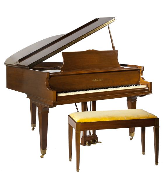 Baby Grand Piano by