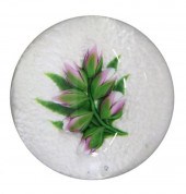 BACCARAT LTD ED CROCUS ON SNOW