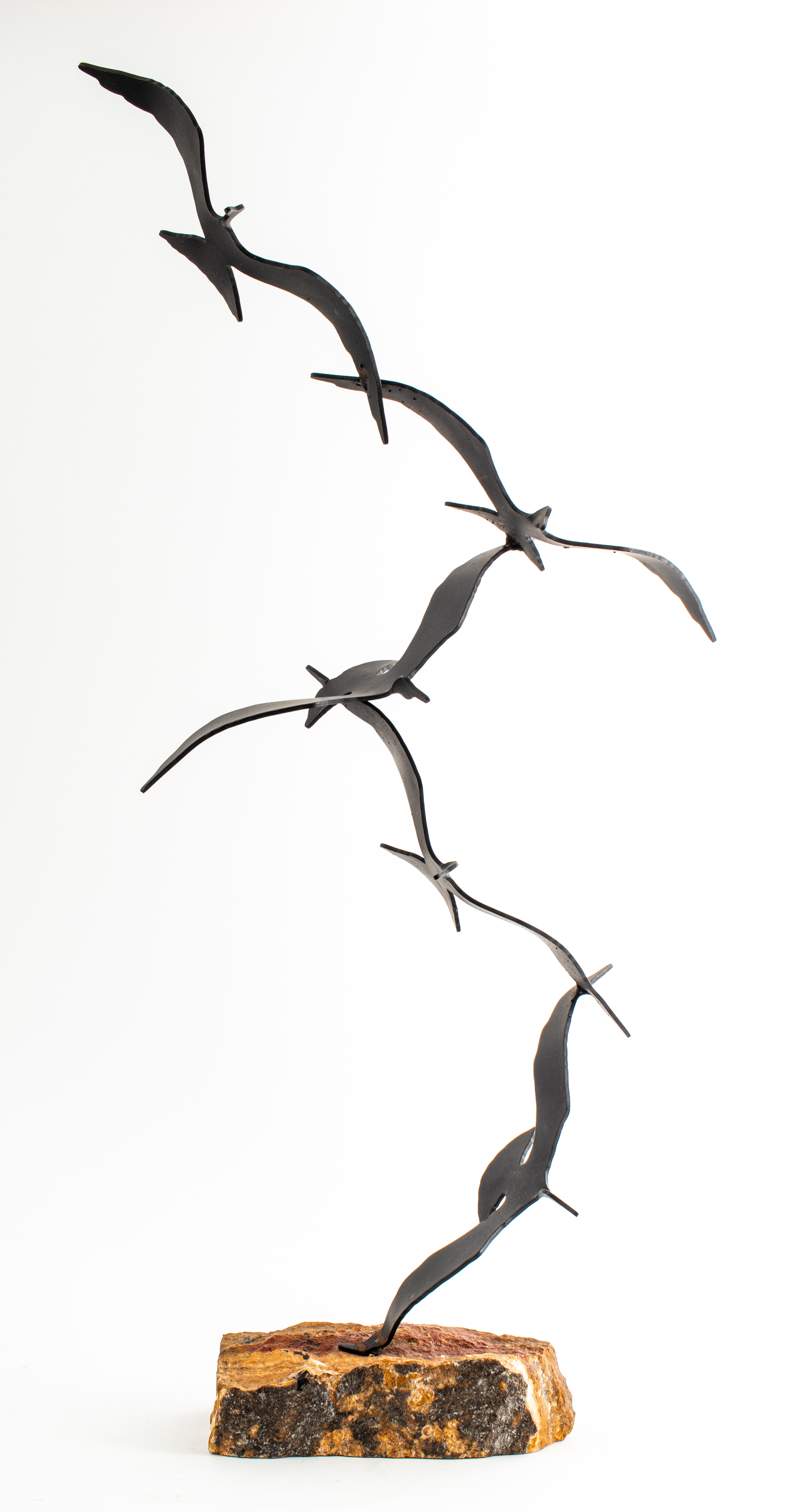BAHAR BIJAN BIRDS IN FLIGHT
