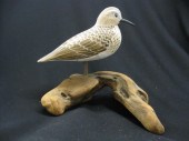 Bairds Sandpiper Carved & Pain