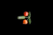 BAKELITE HANGING FRUIT PINBake