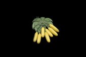 BAKELITE PAINTED HANGING BANAN