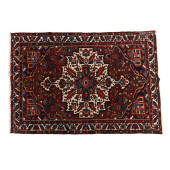 BAKTIARI AREA RUG<br>Baktiari