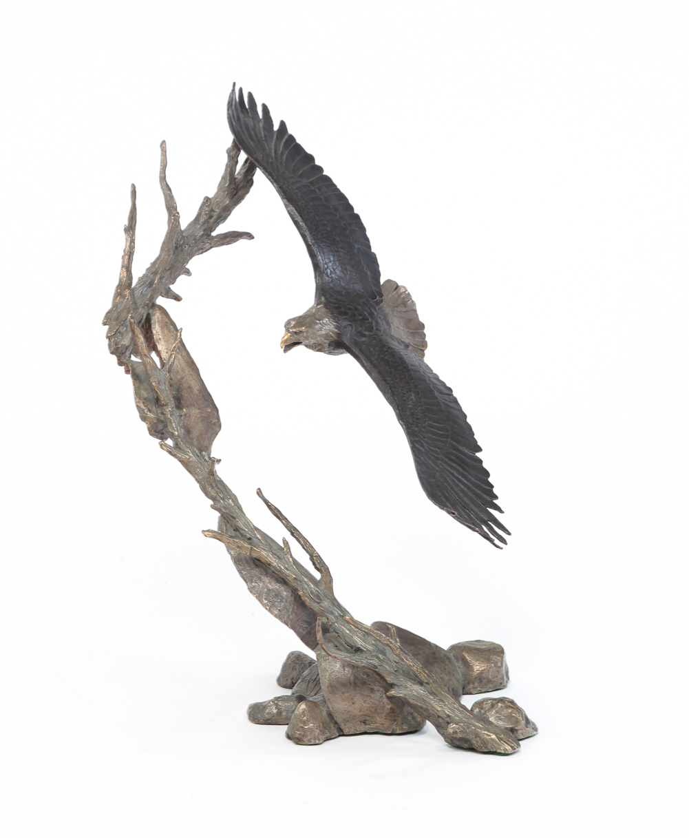 BALD EAGLE BRONZE, MARK HOPKINS.