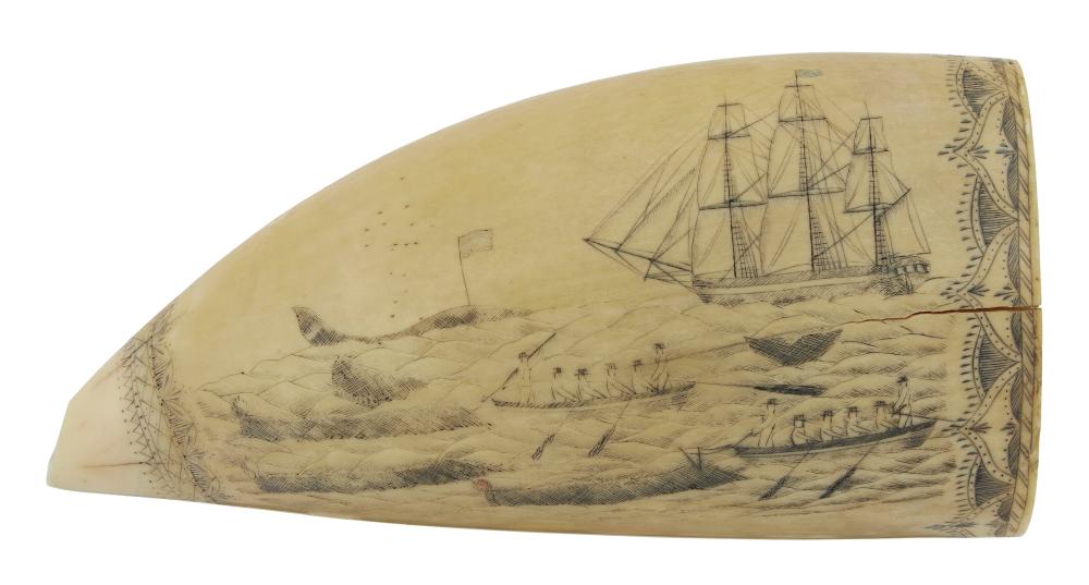 BANKNOTE ENGRAVER SCRIMSHAW WHALE'S
