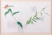BARBARA FRANK, AMERICAN, WASHI