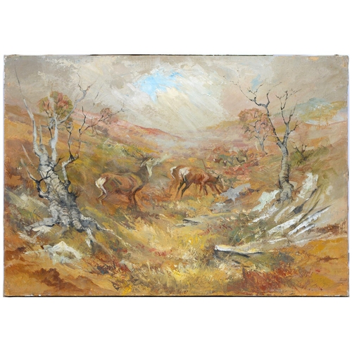 Barbara, Lady Brassey, nee