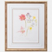 BARBARA NOVAK: BOTANICAL WATER