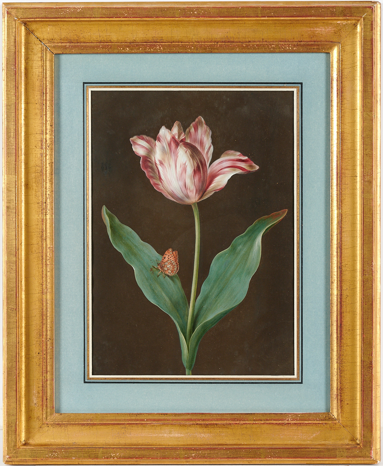 BARBARA REGINA DIETZSCH, GOUACHE