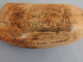 BARK SUNBEAM WHALE TOOTHBrowni