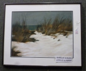 BARKLAY SHEAKS 67', BEACHSCAPE