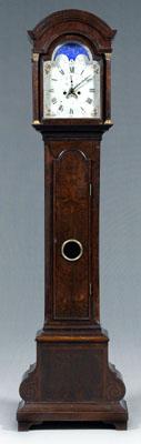 Baroque burlwood tall-case clock,