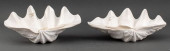 BAROQUE REVIVAL LARGE CLAM SHE