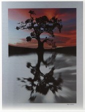 BART ALDRICH "SOLITUDE" PHOTOG