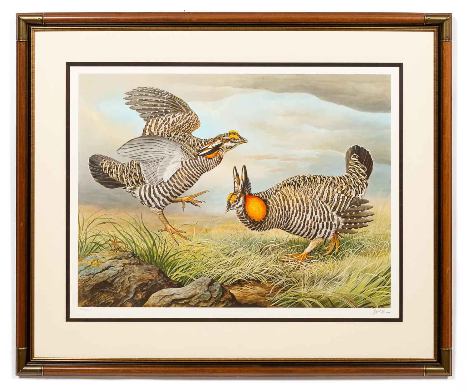 BASIL EDE, GREATER PRAIRIE CHICKEN,