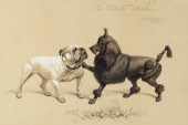 Basil Nightingale (British 186